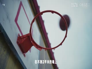 NBA常规赛森林狼VS快船20241205