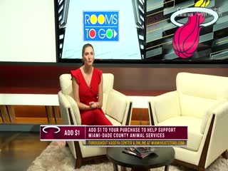 NBA常规赛太阳VS热火20241208