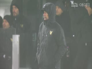 意甲联赛威尼斯VS科莫20241209