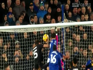 英超联赛莱斯特城VS布莱顿20241209