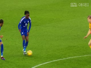 英超联赛布莱顿VS水晶宫20241215