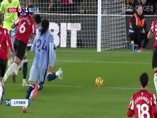 英超联赛南安普顿VS托特纳姆热刺20241216
