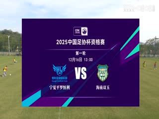 足协杯资格赛宁夏平罗恒利VS海南双玉20241216