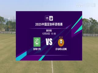 足协杯资格赛深圳兴隽VS青岛崂山港帆20241220