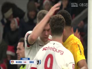 德甲联赛勒沃库森VS弗赖堡20241222