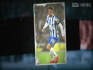 英超联赛富勒姆VS南安普顿20241222