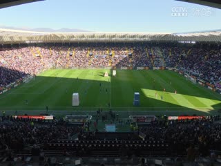 意甲联赛乌迪内斯VS都灵20241229