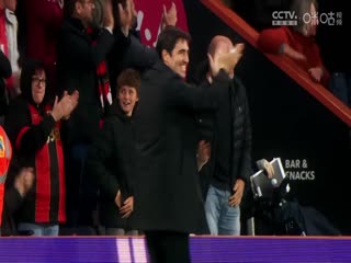 英超联赛富勒姆VS伯恩茅斯20241229