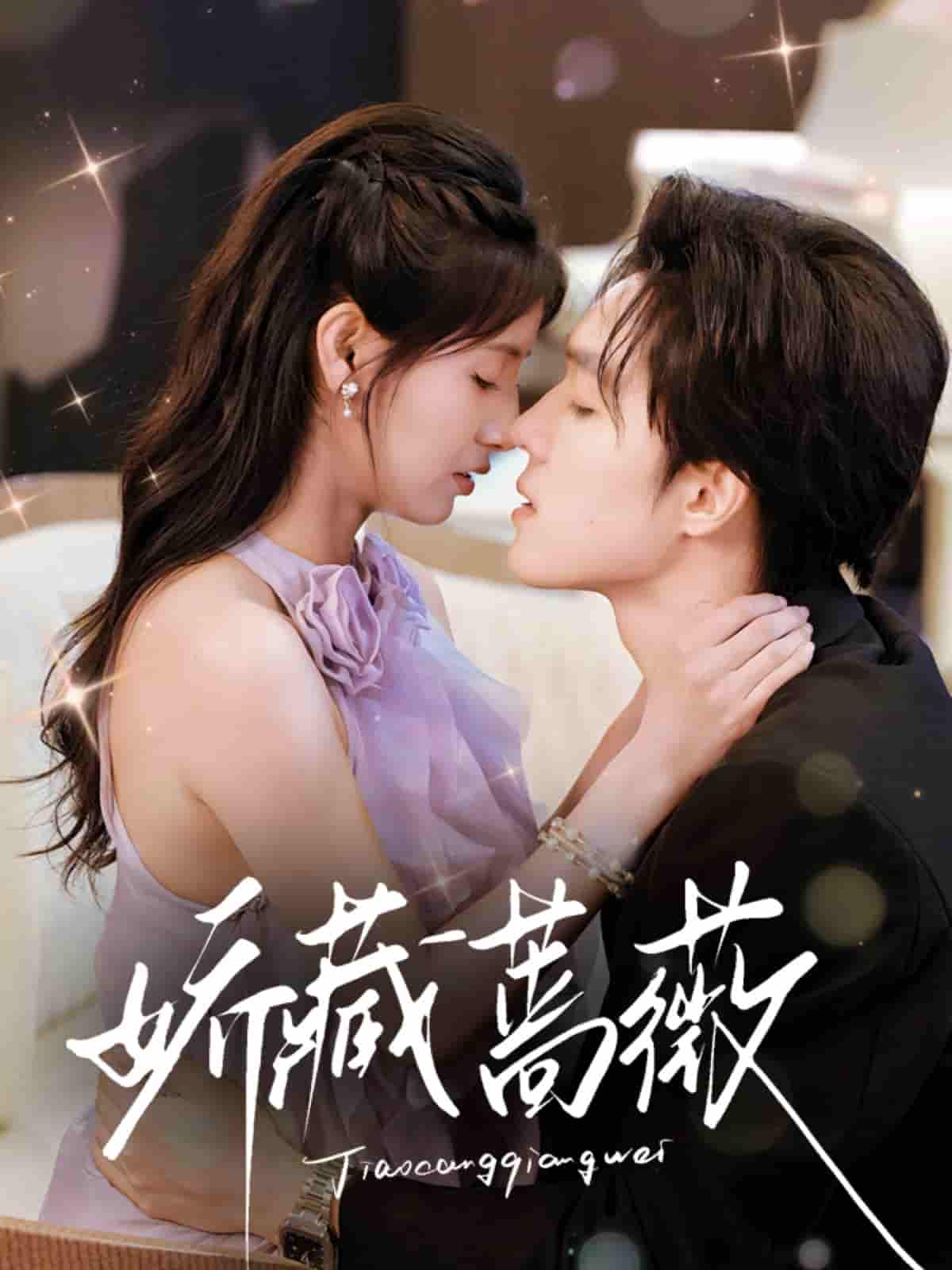 娇藏蔷薇