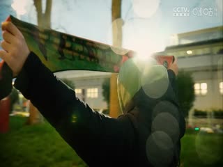 意甲联赛乌迪内斯VS威尼斯20250201