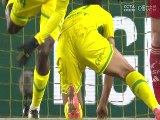 法甲联赛南特VS布雷斯特20250208