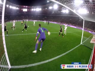 德甲联赛斯图加特VS拜仁慕尼黑20250301