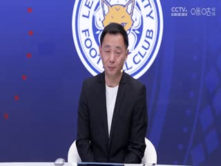 英超联赛曼城VS莱斯特城20250403