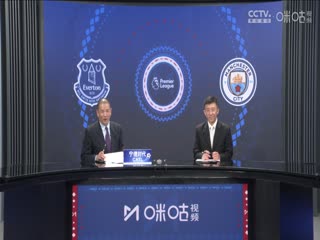 英超联赛埃弗顿VS曼城20250419