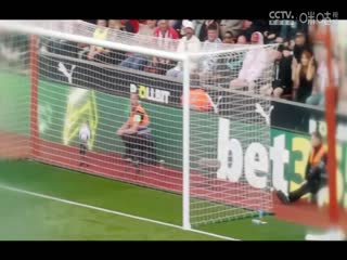 英超联赛布伦特福德VS布莱顿20250419