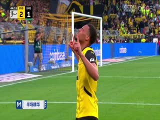 德甲联赛多特蒙德VS门兴格拉德巴赫20250420