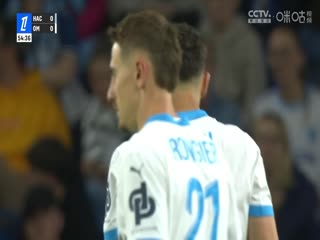 法甲联赛勒阿弗尔VS马赛20250511