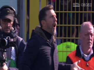 意甲联赛科莫VS威尼斯20250308