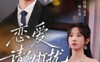 恋爱请勿打扰