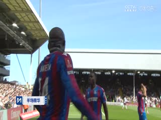 足总杯四分之一决赛富勒姆VS水晶宫20250329