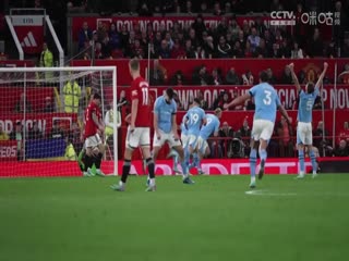 英超联赛莱斯特城VS纽卡斯尔联20250408