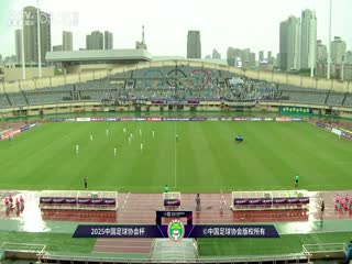 足协杯第二轮比赛温州职业足球俱乐部VS大连鲲城20250419