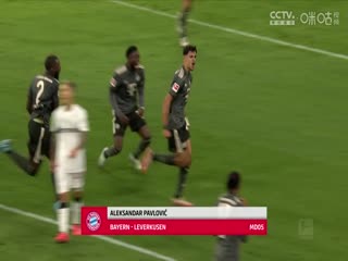 德甲联赛弗赖堡VS霍芬海姆20250419