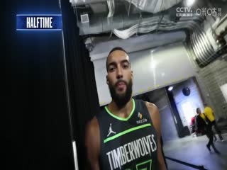 NBA季后赛森林狼VS勇士20250513