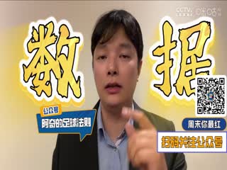 德甲联赛霍芬海姆VS拜仁慕尼黑20250517