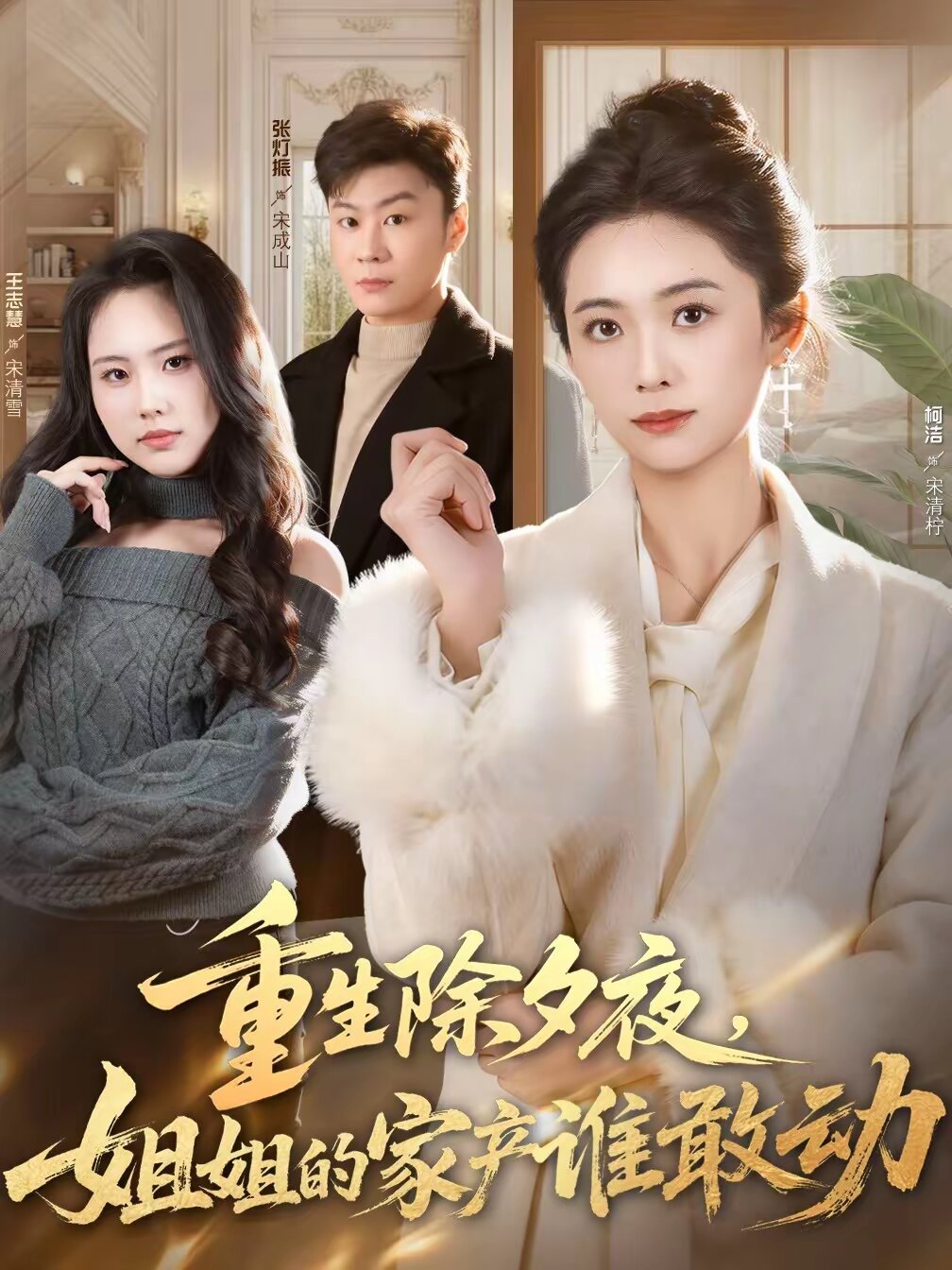 重生除夕夜，姐姐的家产谁敢动