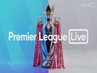 英超联赛阿森纳VS托特纳姆热刺20251124