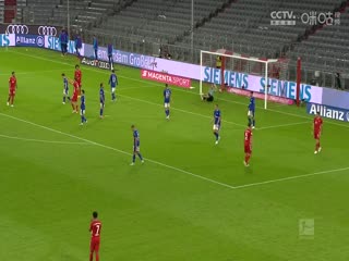 德甲联赛荷尔斯泰因基尔VS霍芬海姆20250118