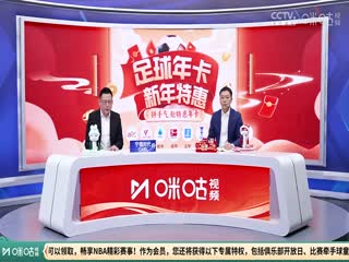 意甲联赛莱切VS国际米兰20250127