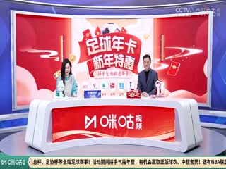 英超联赛托特纳姆热刺VS莱斯特城20250126