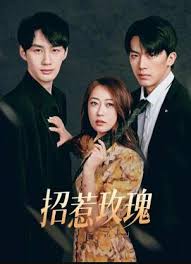 天降萌宝是财神