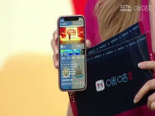 英超联赛曼城VS纽卡斯尔联20250215