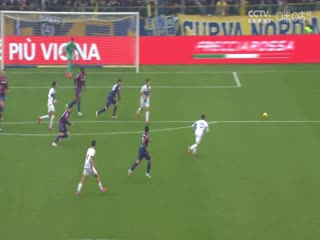 意甲联赛帕尔马VS博洛尼亚20250222