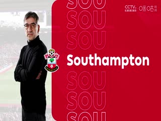 英超联赛南安普顿VS布莱顿20250222