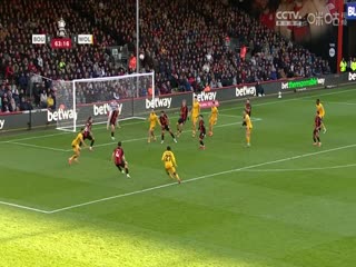 足总杯第五轮比赛伯恩茅斯VS狼队20250301