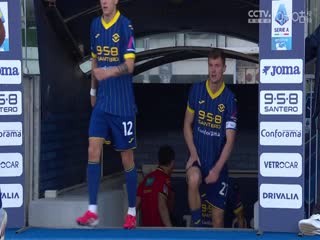 意甲联赛维罗纳VS帕尔马20250401