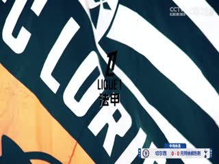 英超联赛切尔西VS托特纳姆热刺20250404