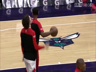 NBA常规赛公牛VS黄蜂20250407