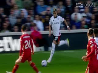 英超联赛布莱顿VS莱斯特城20250412