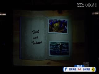 德甲联赛霍芬海姆VS多特蒙德20250426