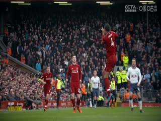 英超联赛诺丁汉森林VS布伦特福德20250502