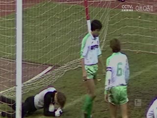 德甲联赛海登海姆VS波鸿20250503