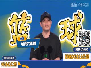 德甲联赛勒沃库森VS多特蒙德20250511